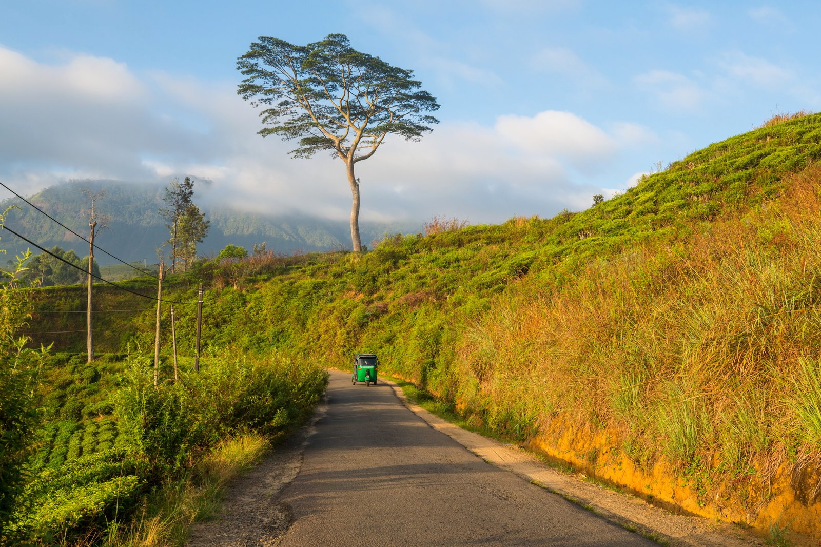 Road on Sri Lanka