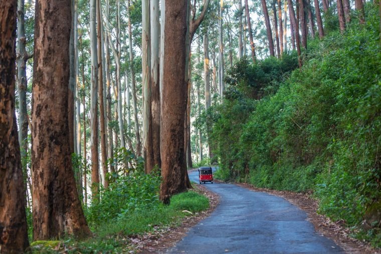 Road on Sri Lanka