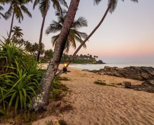 Sunset on the beach with coconut palms. Sri Lanka